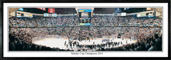 2003 Stanley Cup Champions